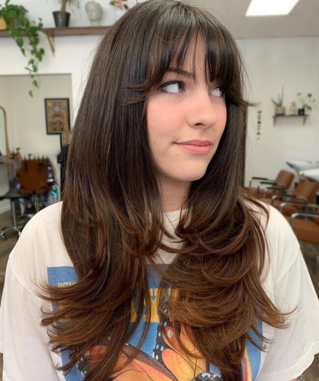 70+ Curtain Bangs That Are So Cute — Dark Chocolate Long Layered Haircut