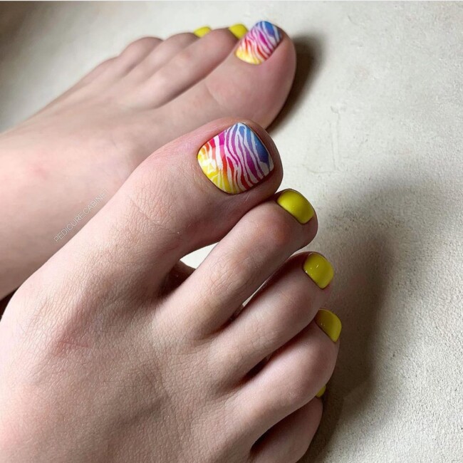 72 Cute Toe Nail Designs — Colorful Zebra Pedicure