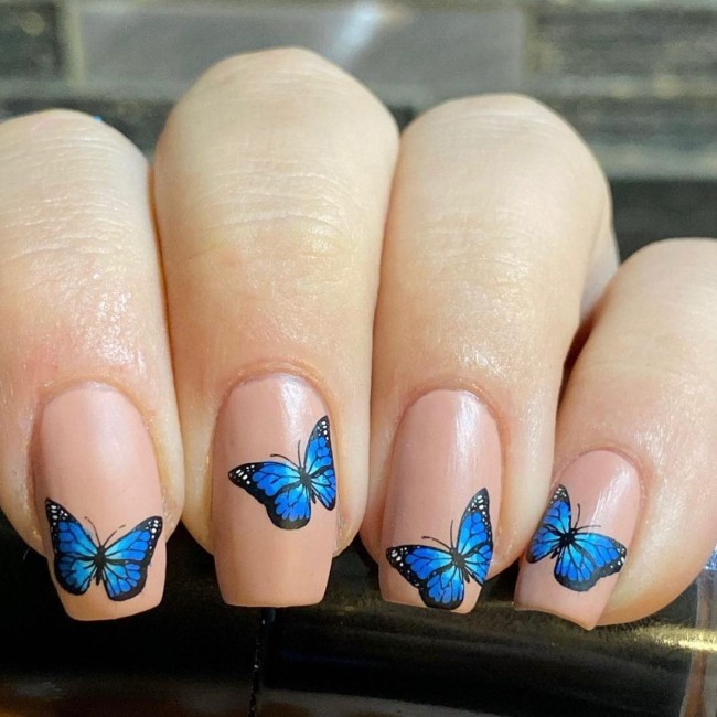 butterfly nail designs 2022, butterfly nail designs short, butterfly nail ideas, butterfly nails, pink, butterfly nails acrylic, butterfly nails, blue, butterfly nails, nail art designs, summer nail ideas, butterfly nails summer, acrylic nail designs