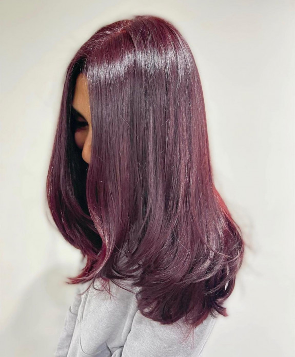 35 Plum Black Hair Color Ideas — Glossy Layered Cut Plum Hair