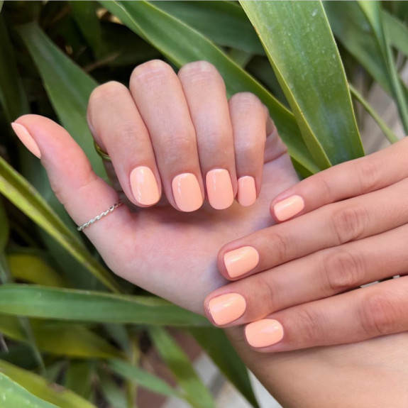 Cute Peach Nail Ideas Peach Color Short Nails