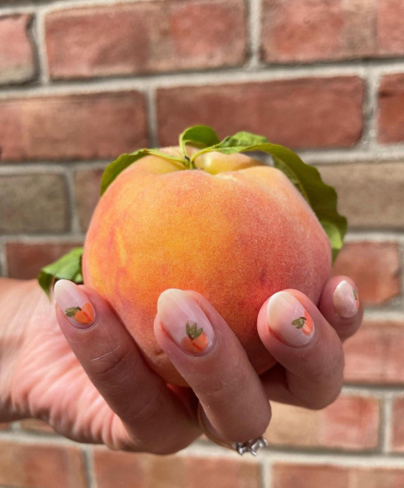 30 Cute Peach Nail Ideas — Peach Sheer Nails